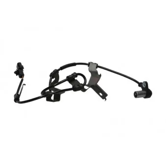 KAVO PARTS BAS-5595 - Capteur, vitesse de roue avant droit