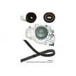 Pompe à eau + kit de courroie de distribution KAVO PARTS [DKW-2005]