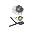 Pompe à eau + kit de courroie de distribution KAVO PARTS [DKW-5502]