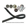Pompe à eau + kit de courroie de distribution KAVO PARTS [DKW-8001]