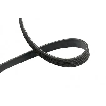 KAVO PARTS DMV-2080 - Courroie trapézoïdale à nervures