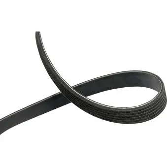 KAVO PARTS DMV-3057 - Courroie trapézoïdale à nervures