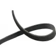Courroie trapézoïdale à nervures KAVO PARTS [DMV-4521]
