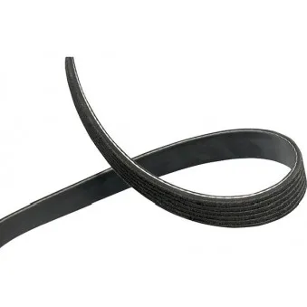 KAVO PARTS DMV-4521 - Courroie trapézoïdale à nervures