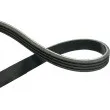 Courroie trapézoïdale à nervures KAVO PARTS [DMV-4531]