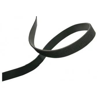 KAVO PARTS DMV-4553 - Courroie trapézoïdale à nervures