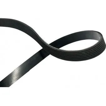 KAVO PARTS DMV-6536 - Courroie trapézoïdale à nervures