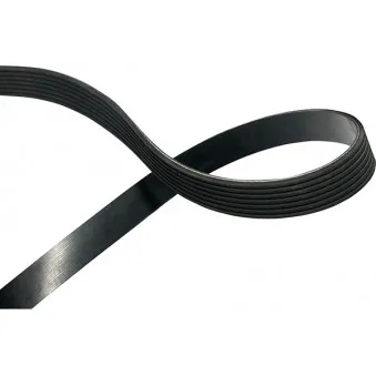 KAVO PARTS DMV-6563 - Courroie trapézoïdale à nervures