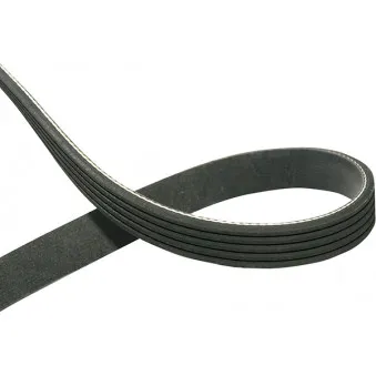 Courroie trapézoïdale à nervures KAVO PARTS [DMV-8529]