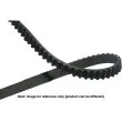 Courroie de distribution KAVO PARTS [DTB-1006]