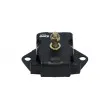 KAVO PARTS EEM-1506 - Support moteur