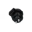 KAVO PARTS EEM-6653 - Support moteur