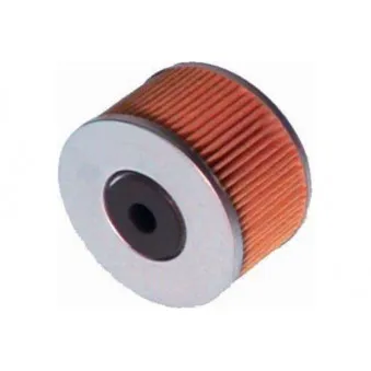 KAVO PARTS MF-456 - Filtre à carburant
