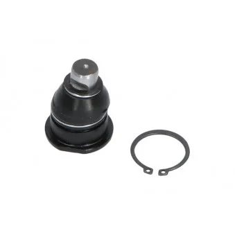 KAVO PARTS SBJ-10011 - Rotule de suspension