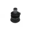 KAVO PARTS SBJ-6561 - Rotule de suspension