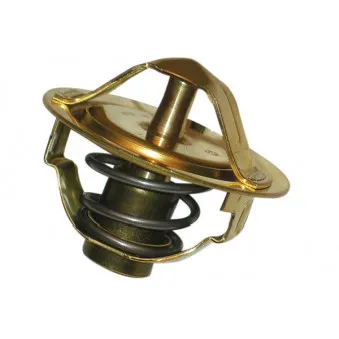 Thermostat, liquide de refroidissement KAVO PARTS [TH-5001]