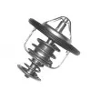Thermostat, liquide de refroidissement KAVO PARTS [TH-5504]