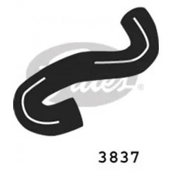 Durite de radiateur GATES OEM 1337191