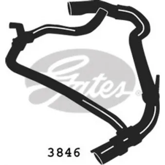 GATES 3846 - Durite de radiateur