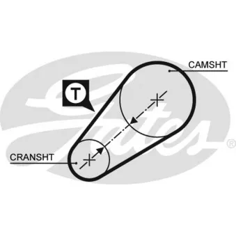 Courroie crantée GATES OEM 4347067