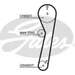 GATES 5029 - Courroie crantée