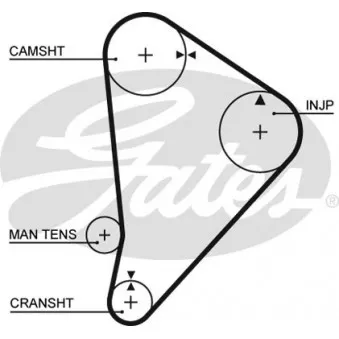 Courroie crantée GATES 5044