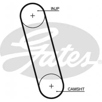 GATES 5100 - Courroie crantée