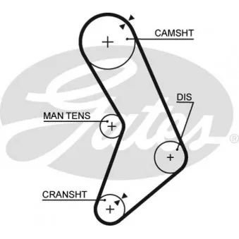 Courroie crantée GATES OEM 11311717215