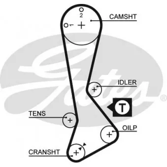 Courroie crantée GATES OEM 1356811070