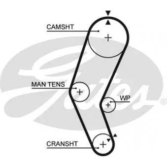 Courroie crantée GATES 5272