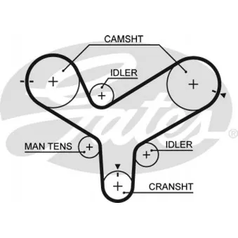Courroie crantée GATES OEM JF0112205C