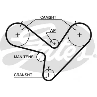 GATES 5366XS - Courroie crantée