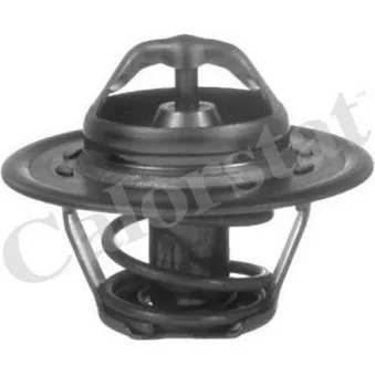 Thermostat, liquide de refroidissement CALORSTAT BY VERNET TH5812.88J