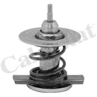 Thermostat, liquide de refroidissement CALORSTAT BY VERNET TH9451.82J