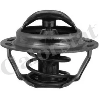 Thermostat, liquide de refroidissement CALORSTAT BY VERNET OEM 96166936