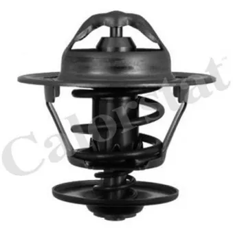 Thermostat, liquide de refroidissement CALORSTAT BY VERNET OEM 030121117L
