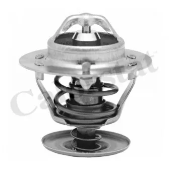Thermostat, liquide de refroidissement CALORSTAT BY VERNET OEM XS4G8594AB