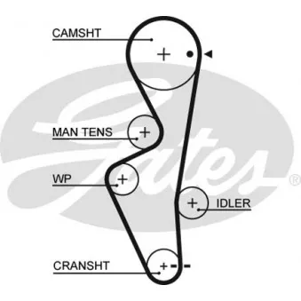 Courroie crantée GATES 5430XS