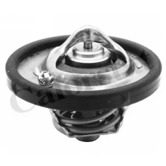 Thermostat, liquide de refroidissement CALORSTAT BY VERNET OEM 96MM8575B1A
