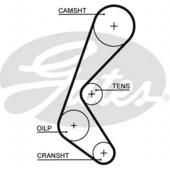 Courroie crantée GATES OEM 46546254