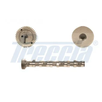 Arbre à came FRECCIA OEM 059109022K
