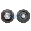 FRECCIA PUL11-136 - Poulie, vilebrequin