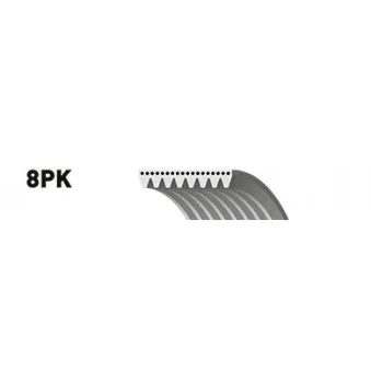 Courroie trapézoïdale à nervures GATES 8PK1515ES
