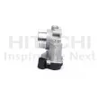 HITACHI 2508563 - Corps papillon