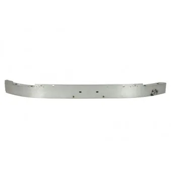 BLIC 5502-00-9024340P - Support, pare-chocs