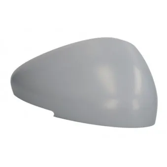 Boitier, rétroviseur extérieur BLIC 6103-21-2001110P