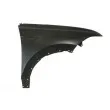Aile avant droit BLIC [6504-04-0397312P]