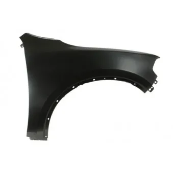 Aile avant droit BLIC 6504-04-0926312P