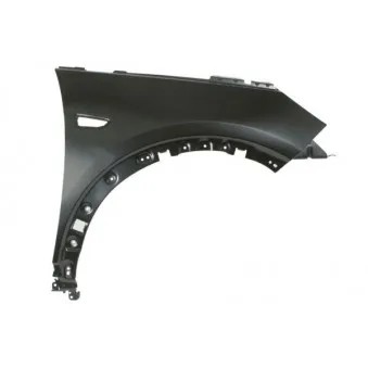 Aile avant droit BLIC 6504-04-5037312AP