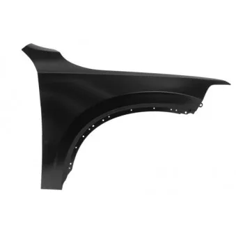 Aile avant droit BLIC 6504-04-9061312AP